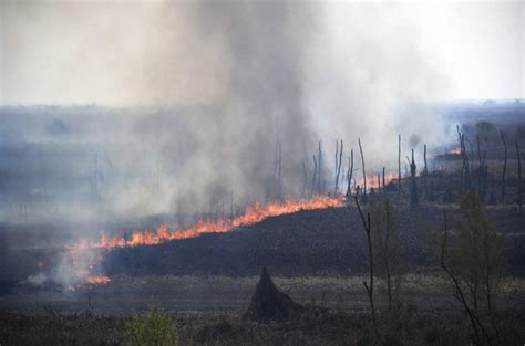 Cabandié “apagar Un Incendio En El Delta Del Paraná Cuesta 20 Millones