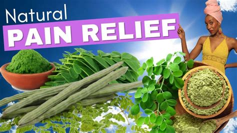 Natural Pain Reliefmust Try Herbal Remedies For Pain Youtube