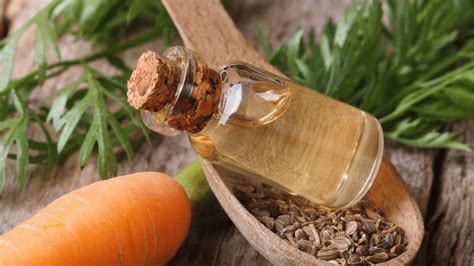 How To Get Glowing Skin With Carrot Seed Oil A Green Beauty Blog