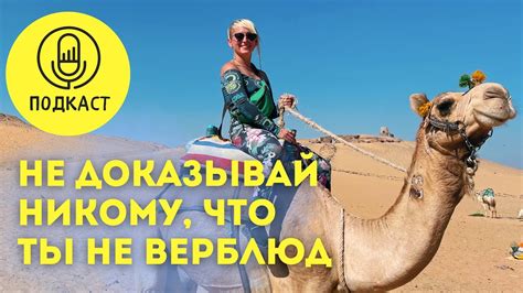 Никому ничего не доказывай // Не оправдывайся за свой выбор - YouTube