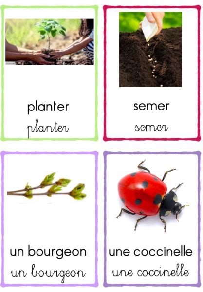 Part App Vocabulaire Du Printemps