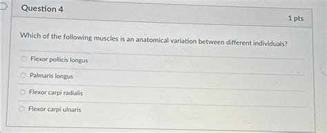 Solved Question Ptswhich Of The Following Muscles Is An Chegg