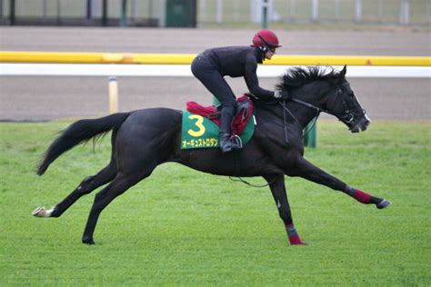 ジャパンカップ直前強力外国勢は順調なら仕上がり（競馬のおはなし）｜dメニューニュース（nttドコモ）