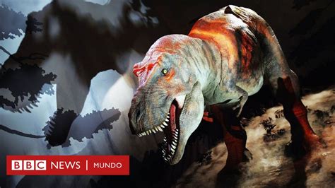 El Desconocido Lado Sensible De Tiranosaurio Rex Uno De Los