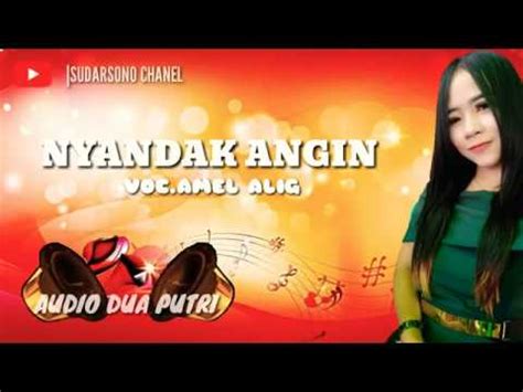 Nyandak Angin Versi Organ Dangdut Widia Nada Youtube