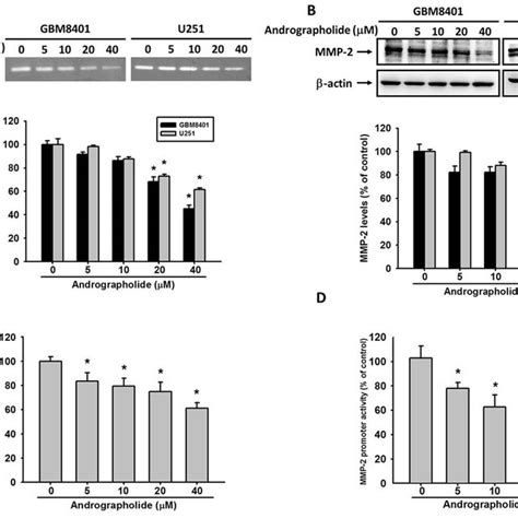 Effects Of Andrographolide On Cell Viability A Structure Of