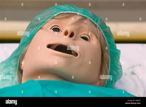 Medical Dummy Stock Photos And Medical Dummy Stock Images Alamy