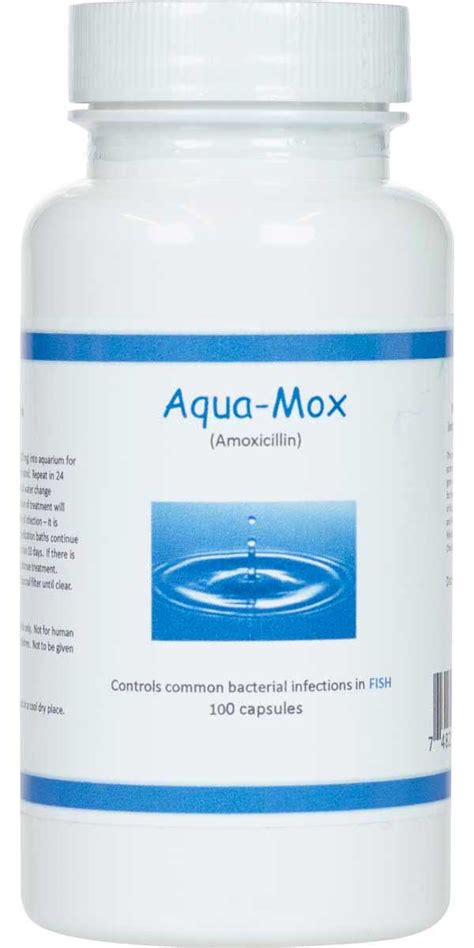 Aqua Mox Forte Fish Antibiotic Brand May Vary Antibiotics Pet