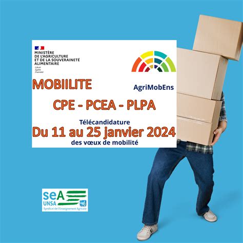 Campagne De Mobilite Cpe Pcea Plpa Stagiaires Futurs N O