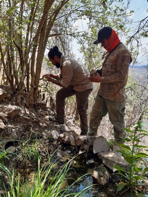 Reconoce Federaci N Internacional De Guardaparques Trabajo En Sierra De