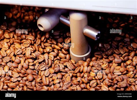 During Roasting Coffee Beans Are Prepared Using Oven Machine For