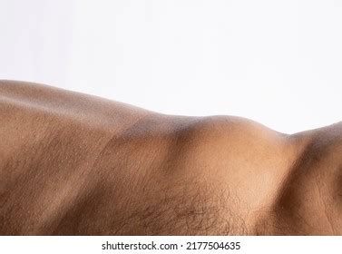 Naked Woman Belly On White Stock Photo 3869050 Shutterstock