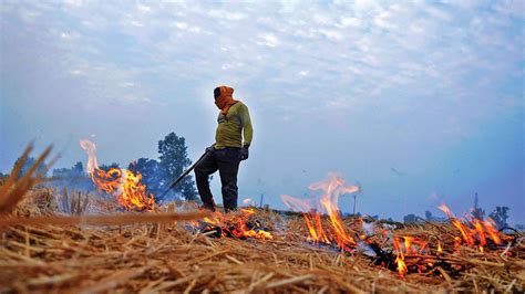 Stubble Burning An Emerging Health Threat