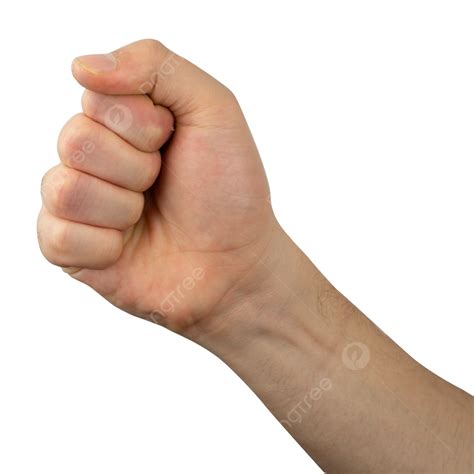 Hand Gesture Modeling Skin Limb Modeling Png Transparent Image And