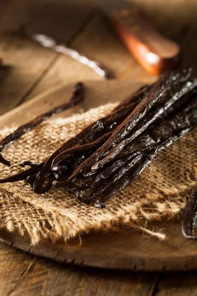 Raw Organic Vanilla Beans — Stock Photo © bhofack2 #73719205