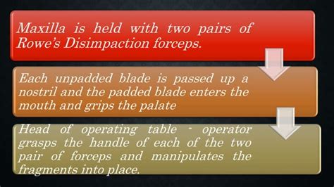 Lefort Fracture Ppt