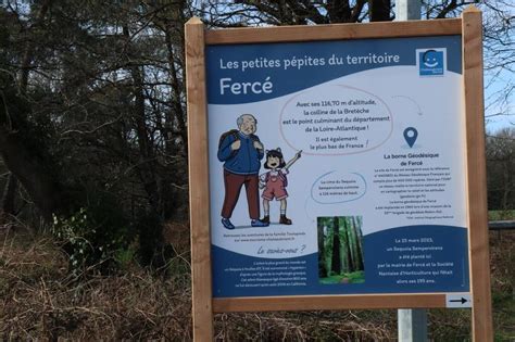 Insolite Ferc Un S Quoia Plant Sur Le Point Le Plus Haut De Loire