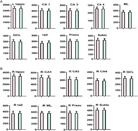 Comparison Of Hippocampus Subfields Between First Episode Patient And Download Scientific