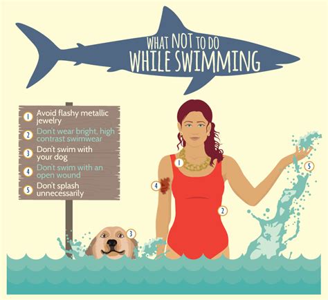 Learn How to Handle a Shark Encounter | Fix.com