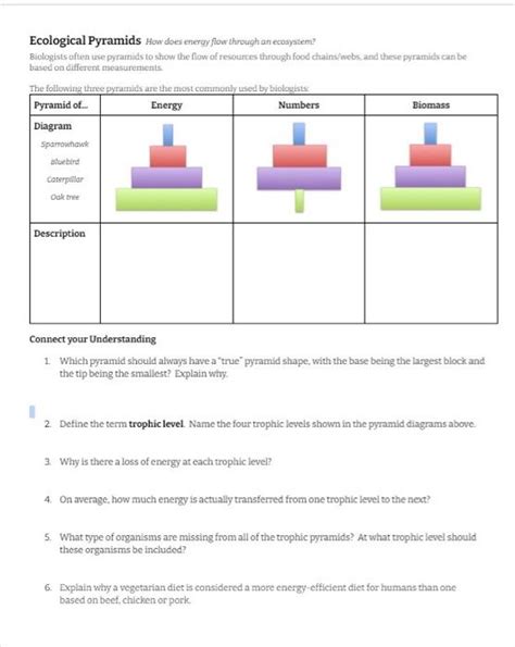 Energy Pyramid Worksheets Free Printables Worksheets Library