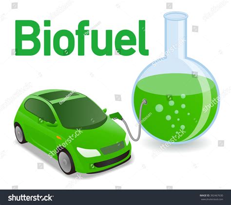 Biomass Fuel Made By Algae Diagram Illustration Royalty Free Stock