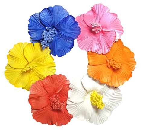 HipGirl 6pc Hawaiian Plumeria Flower, Hibiscus Flower Hair Clips : Amy's Store LLC