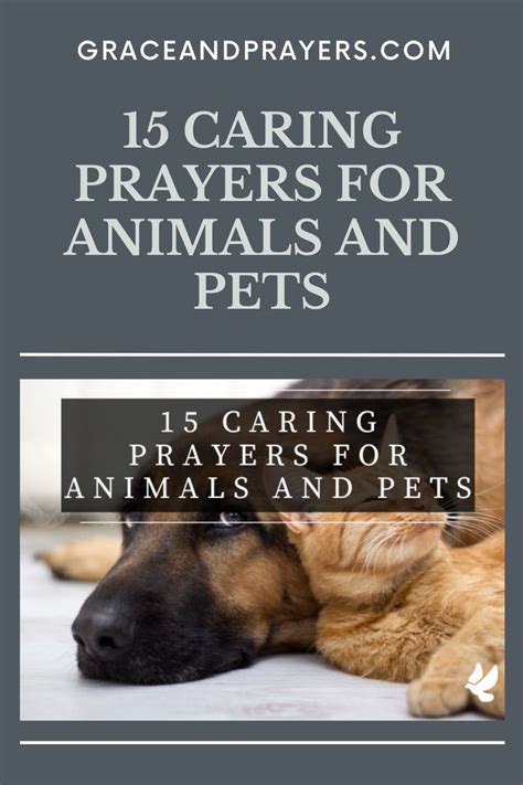 15 Caring Prayers For Animals And Pets Grace And Prayers Prayers