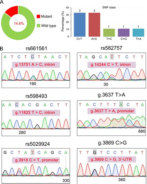 The Tnfaip Mutation Pattern In The Jnu Dataset A Percentage Of