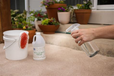 Can You Use A Carpet Cleaner On Indoor Outdoor Carpet