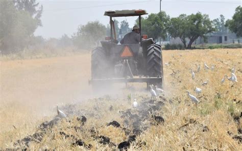 Inegi Suspende Censo Agropecuario En Tarimoro Guanajuato Tras