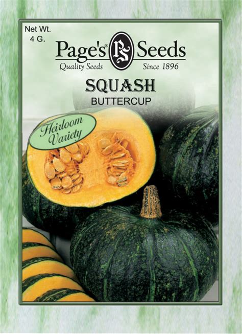 Squash Buttercup The Page Seed Company Inc