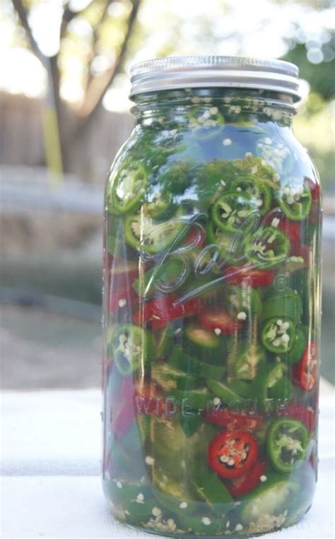 28 Easy Fermentation Recipes - Modern Day Self Reliance