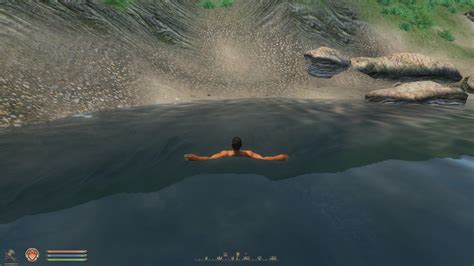 Did you guys know Oblivion characters "float" before going for a full swim? : oblivion