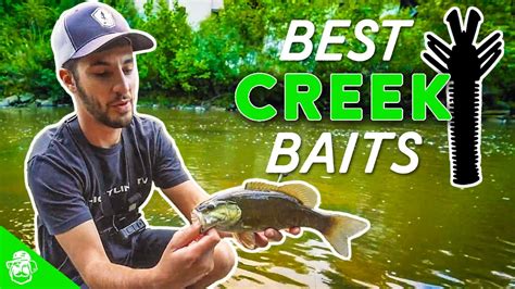 Best Baits For Creek Bass Fishing Micro Fishing Tips Youtube