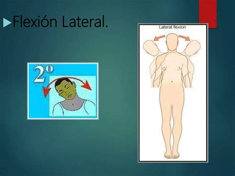 Anatomia Del Raquis PPT