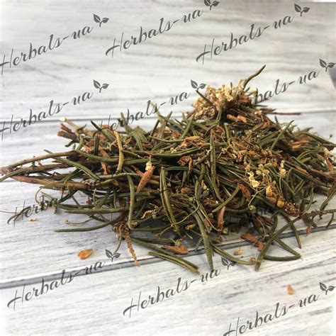 Багно (Богульник), 50 г - купити в Україні з доставкою від | Herbals-ua
