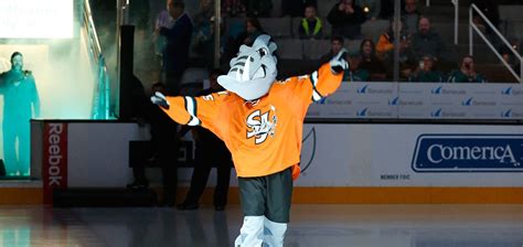 Barracuda Mascot