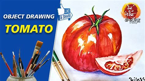 Object Drawing How To Draw Color Tomato YouTube