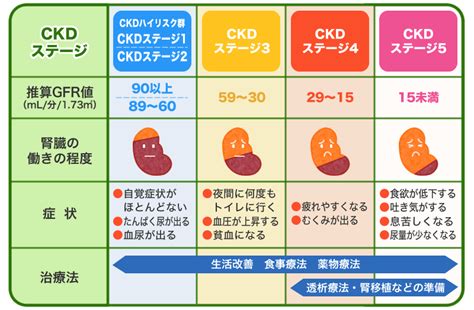 【腎不全】腎臓病【外来1】