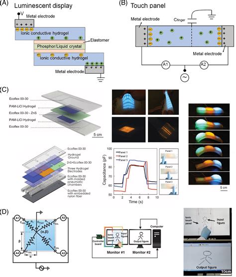 Recent Advances In Designing Conductive Hydrogels For Flexible