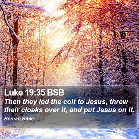 Luke 19 35 BSB Then They Led The Colt To Jesus Threw Their