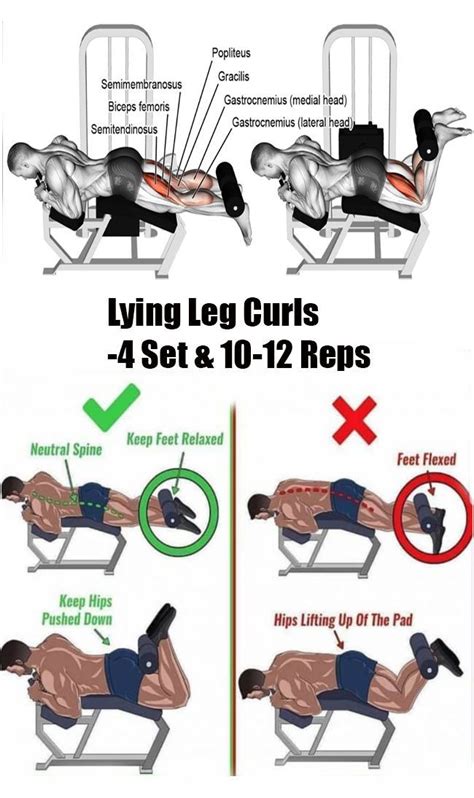 Leg Curls Leg Workout Leg Workouts Gym Hamstring Workout