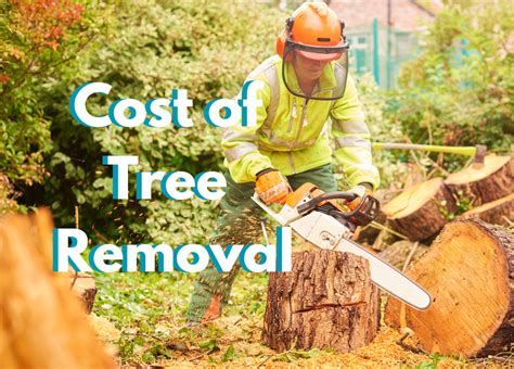 What Is The Cost Of Removing A Tree Pacific Northwest Arborist