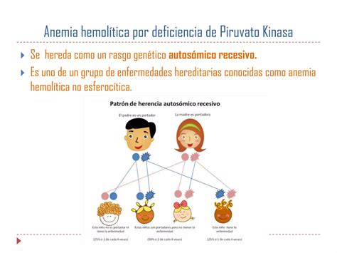 Anemia hemolítica por deficiencia de piruvato kinasa PPT