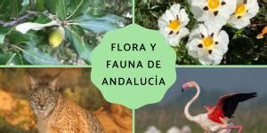 Flora Y Fauna De Tlaxcala Caracter Sticas Y Especies