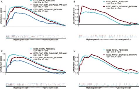 Functional Enrichment Analysis For ITGB1 ITGB4 ITGB5 And ITGB6 A