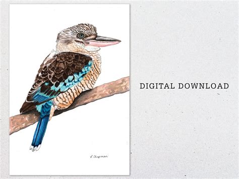 Buy Kookaburra Blue Winged Watercolour Print Digital Download A4 Online