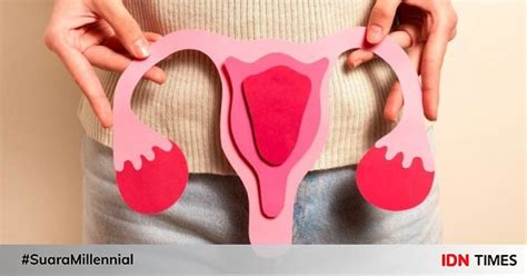 Ovulasi Dua Kali Dalam Satu Siklus Menstruasi Bisakah