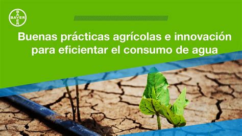 Buenas Pr Cticas Agr Colas E Innovaci N Para Eficientar El Consumo De