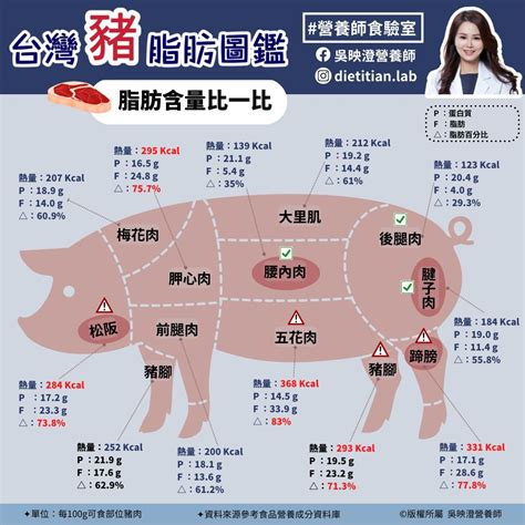 「豬肉部位熱量」一圖看！蹄膀331大卡不是最肥 松阪豬有隱藏油花 Ettoday健康雲 Ettoday新聞雲